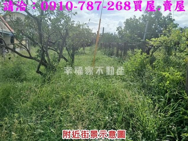 台南麻豆農地-6