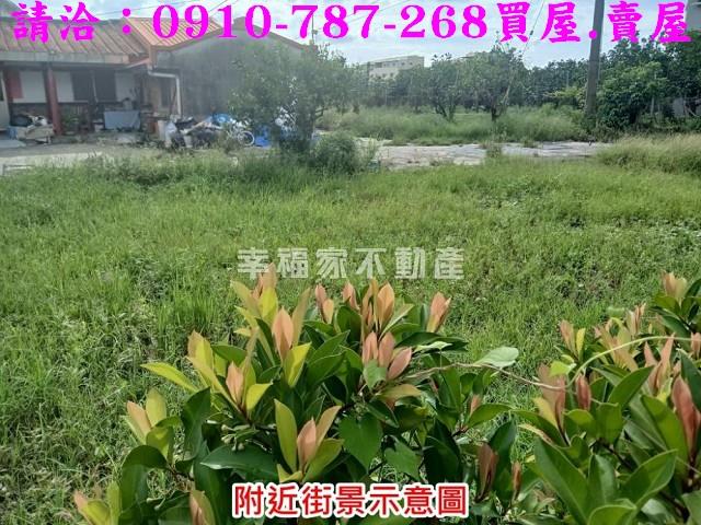 台南麻豆農地-7