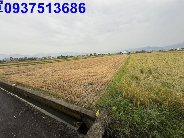 宜蘭壯圍農地-14