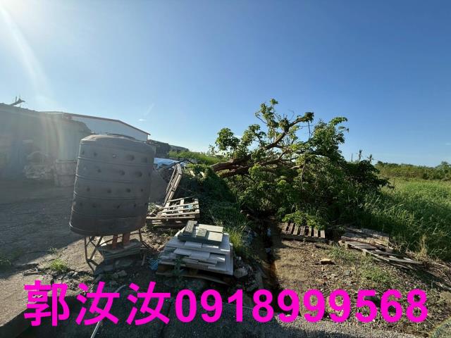 台南七股農地-2