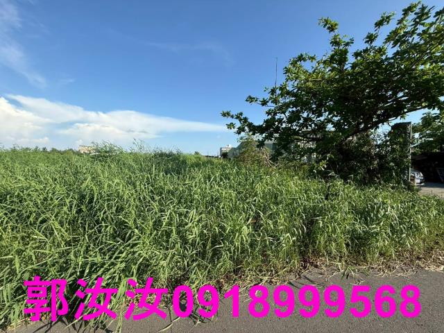 台南七股農地-4