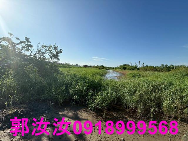 台南七股農地-5