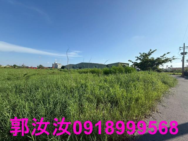 台南七股農地-6