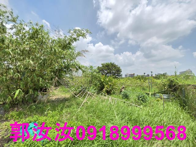 台南六甲農地-6