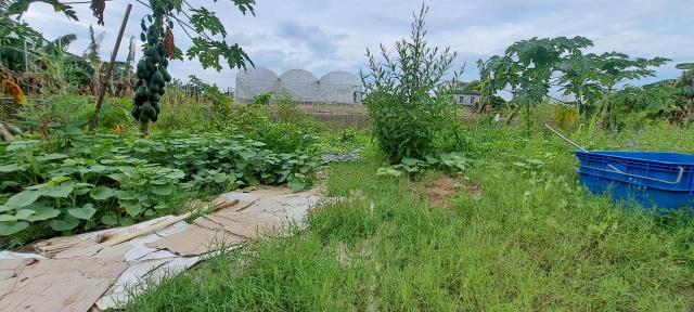 高雄美濃農地-5