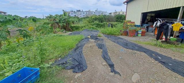 高雄美濃農地-6