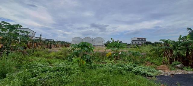 高雄美濃農地-8