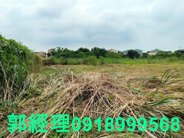 台南玉井農地-6