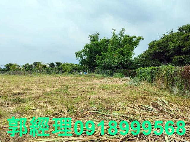 台南玉井農地-7