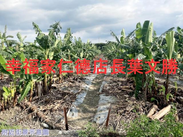 台南新市農地-12