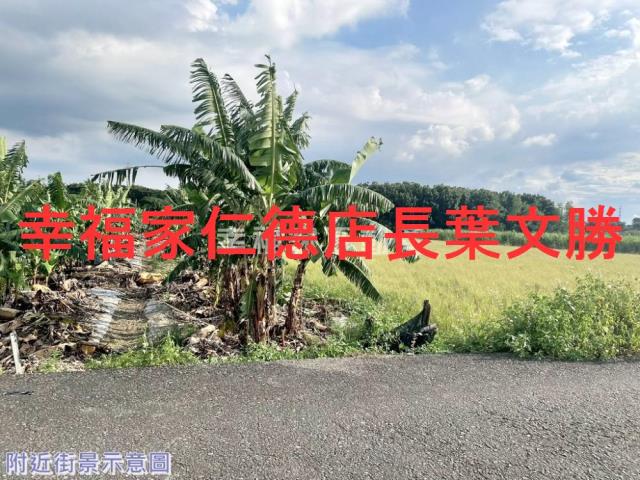 台南新市農地-13