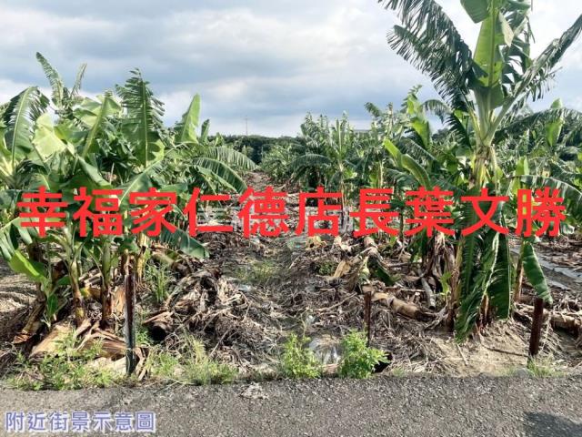 台南新市農地-0