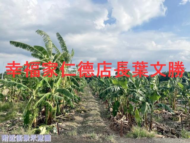 台南新市農地-2