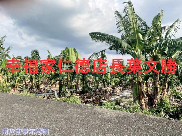 台南新市農地-3