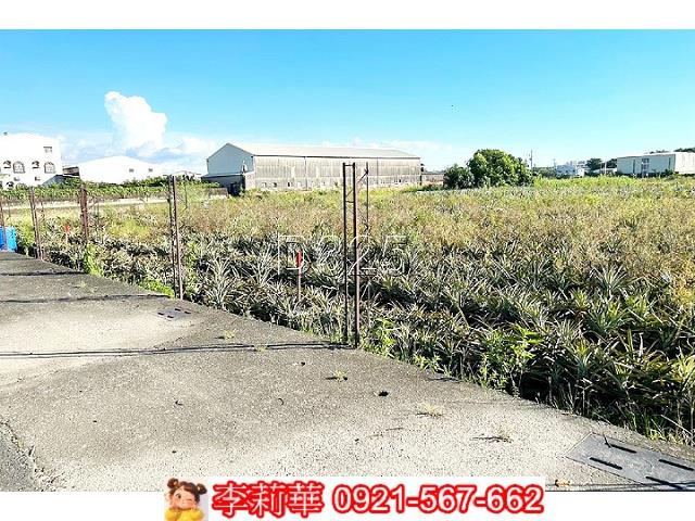 台南新化農地-3