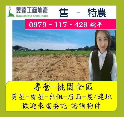 桃園農地-0