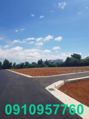 新屋社子國小旁方正農地