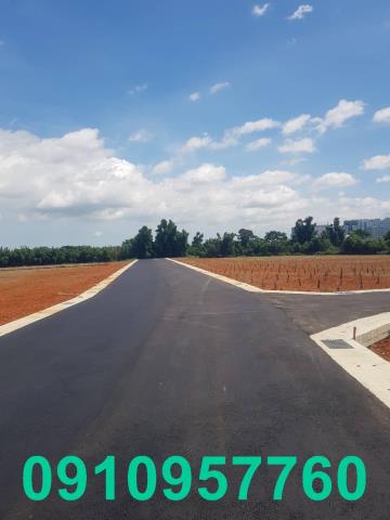 桃園平鎮農地-1