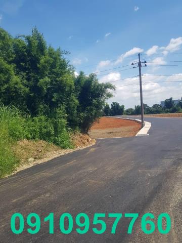 桃園平鎮農地-2