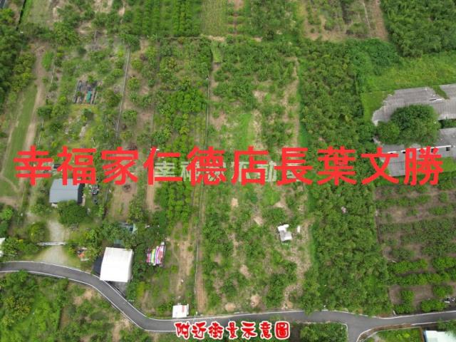 歸仁農地-2