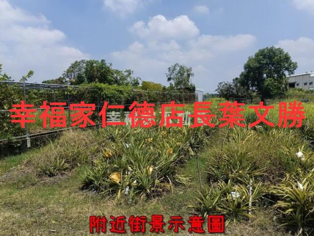 新化農地-11