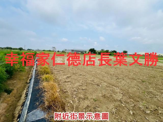 安定農地-11