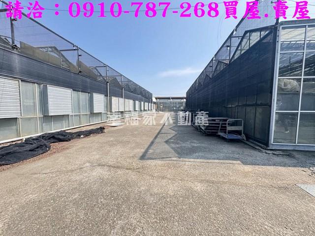 台南新營農地-13