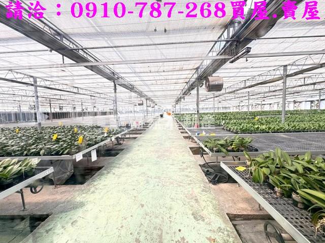 台南新營農地-4