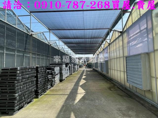 台南新營農地-6