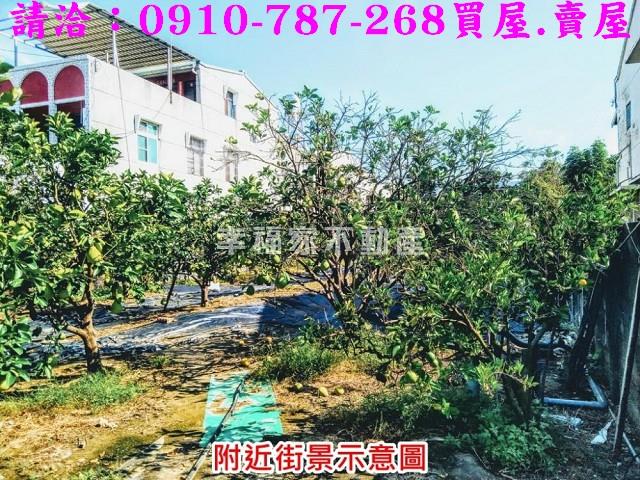 台南麻豆農地-9