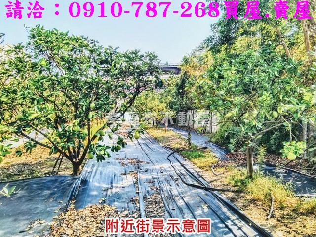 台南麻豆農地-6