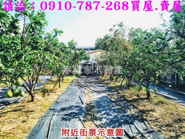 台南麻豆農地-8