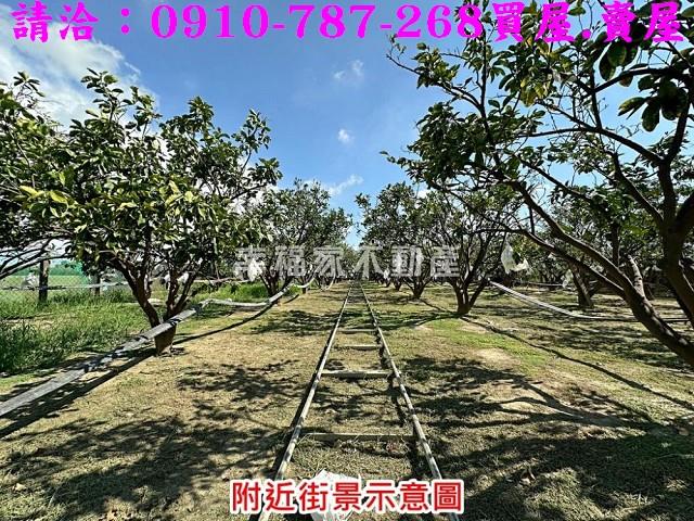 台南麻豆農地-9