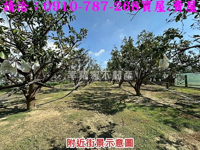 台南麻豆農地-10