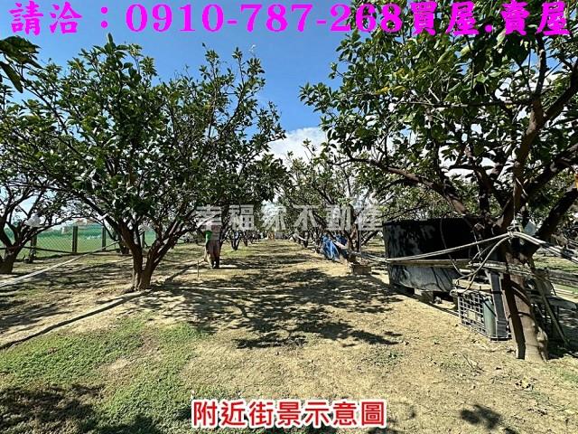 台南麻豆農地-11