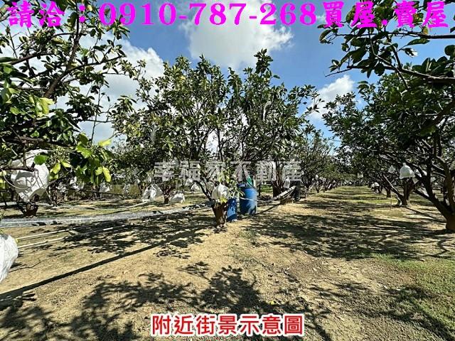 台南麻豆農地-12