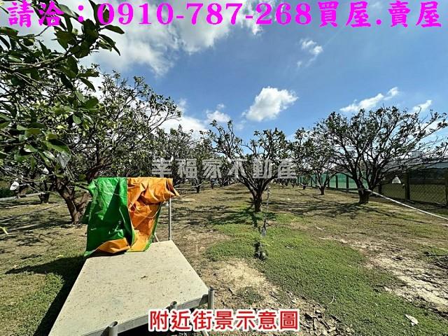 台南麻豆農地-13