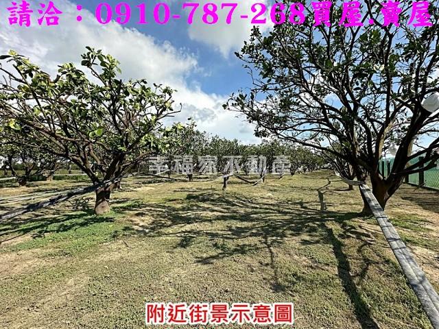 台南麻豆農地-14