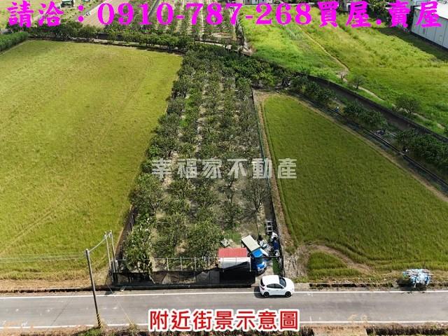 台南麻豆農地-0