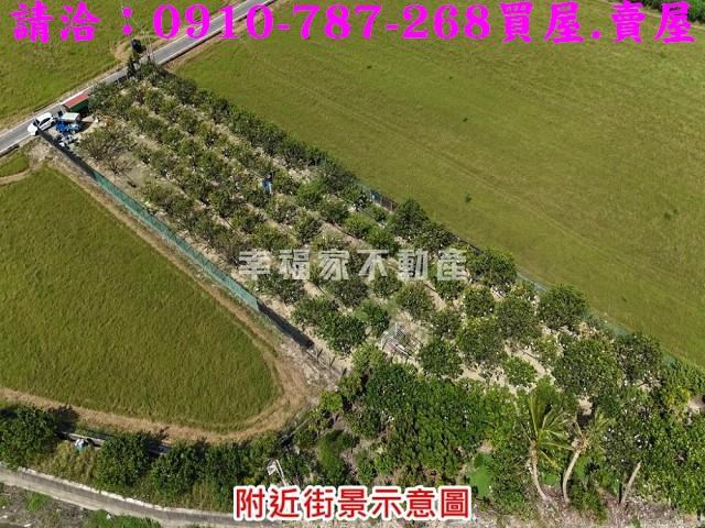 台南麻豆農地-2