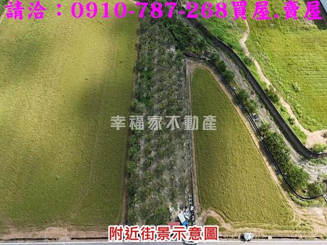 台南麻豆農地-5