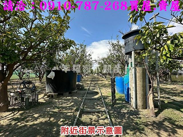 台南麻豆農地-6