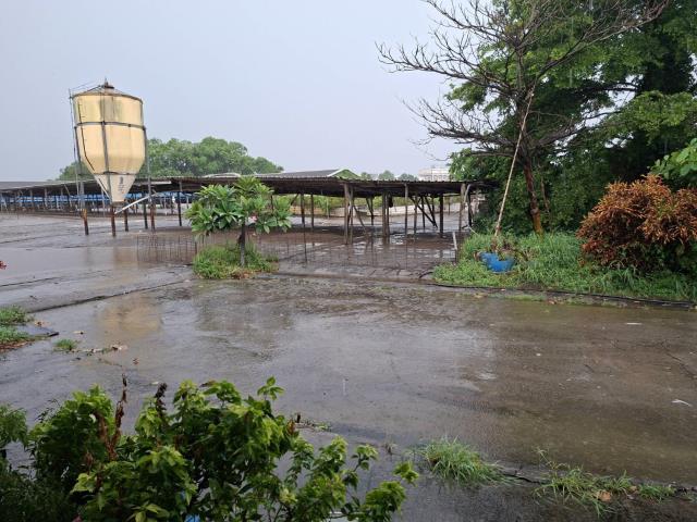 高雄阿蓮農地-11