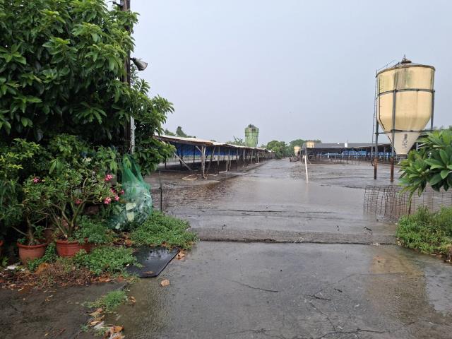 高雄阿蓮農地-12