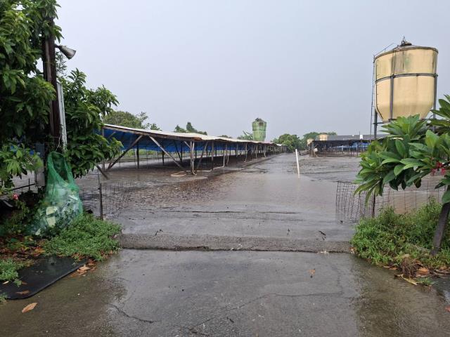 高雄阿蓮農地-14