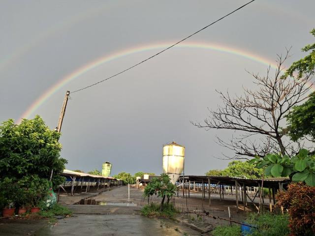 高雄阿蓮農地-3