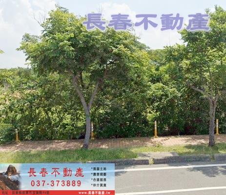 8F230薑麻園平房