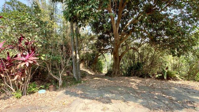 新竹寶山農地-14