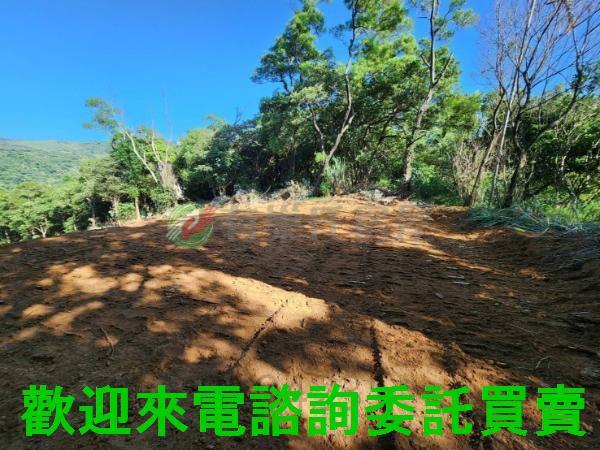 新北三芝農地-2