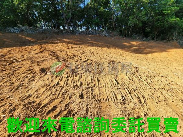 新北三芝農地-3